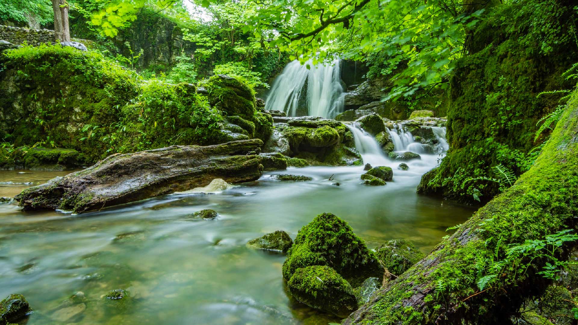 blog 2